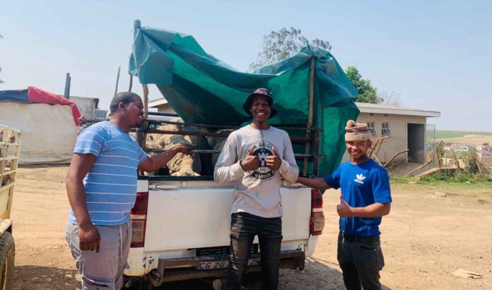 bizana teen keeps family lagacy alive jali live stock