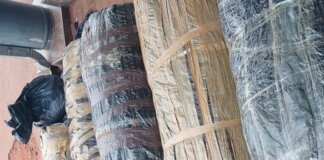 Marijuana Worth R350K Seized on Mpumalanga Road Dagga worth r350k seized on Mpumalanga road