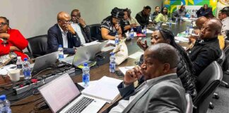 Eastern Cape Rural Development Agency Shines in Buffalo City eastern cape rural development agency shines buffalo city