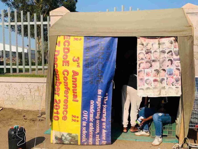 Graduated Degree Surviving Clippers graduated degree surviving clippers