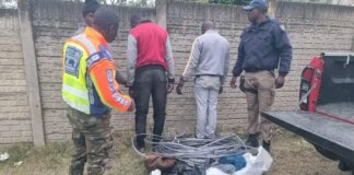 King Sabatha Dalindyebo law enforcement nabs six vandalising power infrastructure