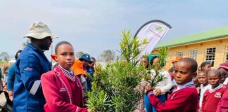 KwaBhaca Learners Plant Trees for Arbor Day