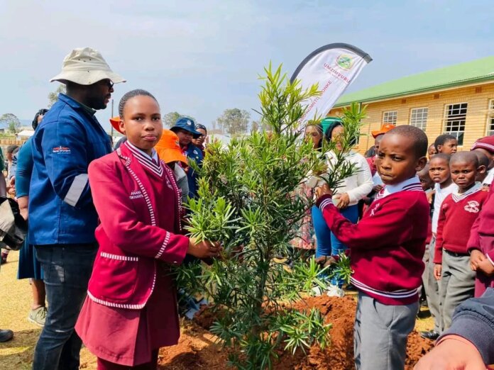 KwaBhaca Learners Plant Trees for Arbor Day