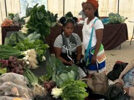 Local Pride Shines at Eastern Amathole Agriculture and Food Trade Fair Local pride shines at Eastern Amathole agriculture food trade fair