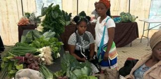 Local Pride Shines at Eastern Amathole Agriculture and Food Trade Fair Local pride shines at Eastern Amathole agriculture food trade fair