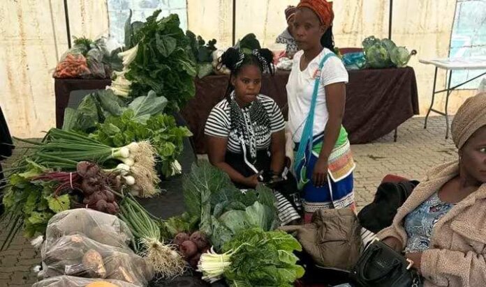 Local Pride Shines At Eastern Amathole Agriculture Food Trade Fair Local pride shines at Eastern Amathole agriculture food trade fair