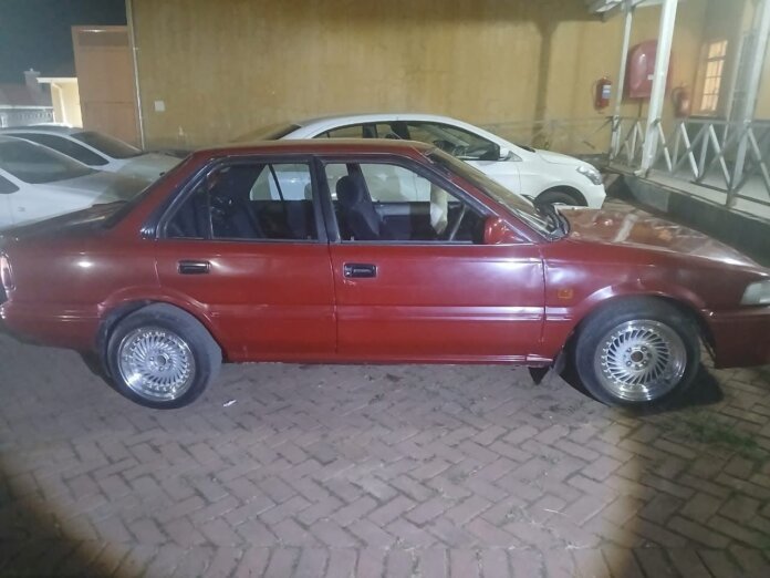 Man Arrested Stolen Sheep Stuffed Sedan On N2 man arrested stolen sheep stuffed sedan on n2