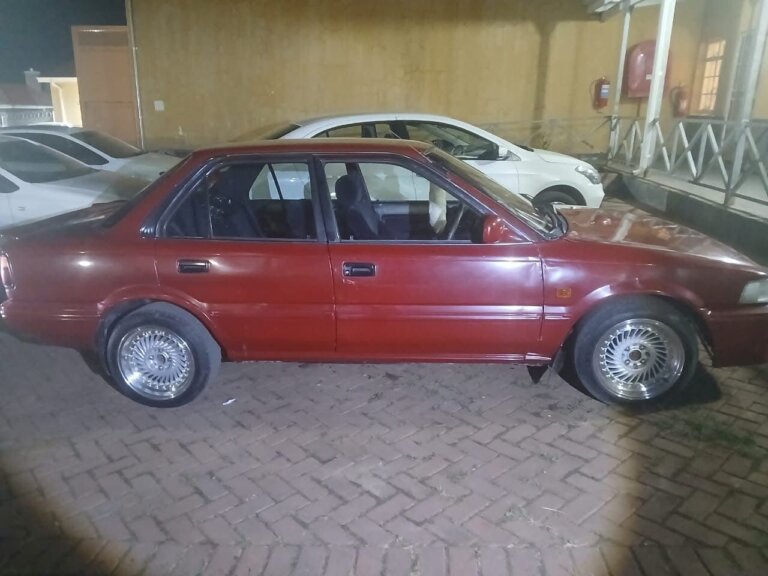 man arrested stolen sheep stuffed sedan on n2