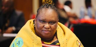 United Front in Mbizana: Summit Tackles Communicable Diseases United Front in Mbizana: Summit Tackles Communicable Diseases