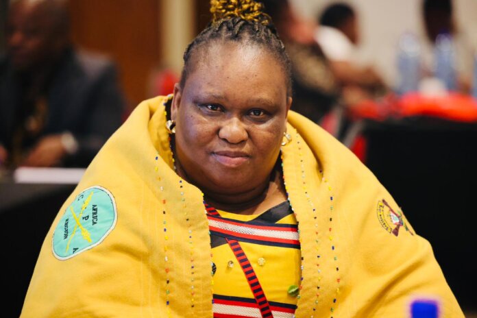 United Front in Mbizana: Summit Tackles Communicable Diseases