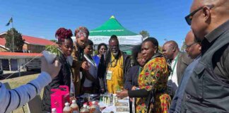 Eastern Cape agriculture named growth backbone mec nonceba kontsiwe holding cannabis plant engaging cannabis producers who attended dohne open day event picture anathi zitshu doa 11zon