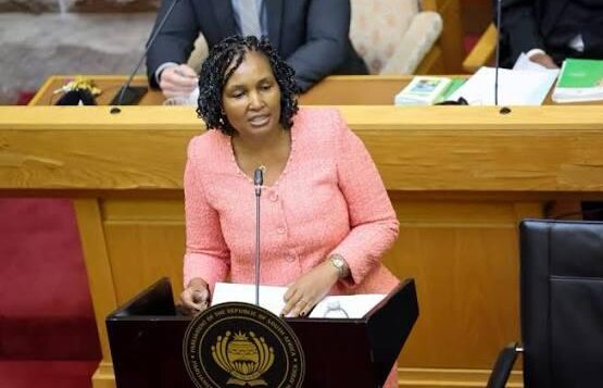 Minister Thembi Simelane Pledges Housing Spatial Justice Reforms minister thembi simelane pledges housing spatial justice reforms