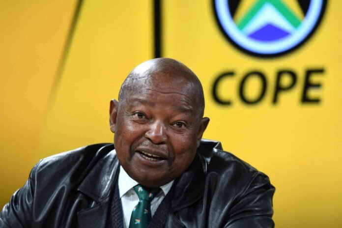 minority governing parties unite at joburg lekgotla