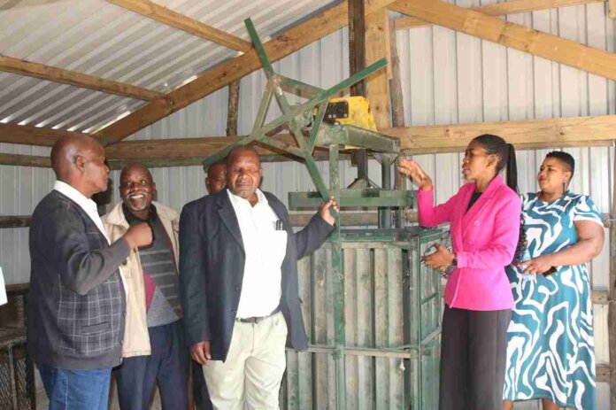 new sheep shearing shed boosts wool growers lukholo