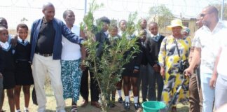 Ntabankulu Local Municipality marks Arbor Day learners