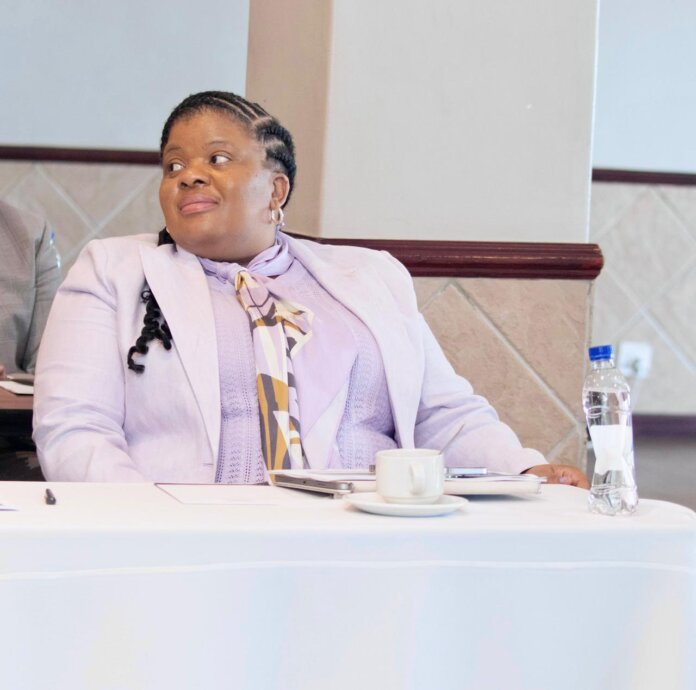 portfolio committee probes water crisis buffalo city