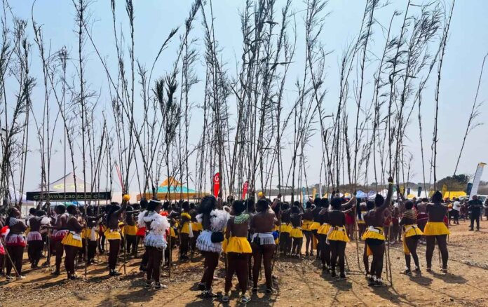 Sassa Supports Youth At 2025 Kzn Royal Reed Dance sassa supports youth at 2025 kzn royal reed dance