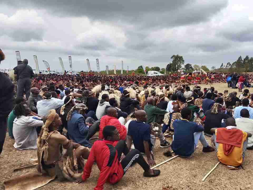 Sassa joins 2025 royal reed dance in kwazulu natal