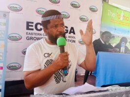 Wool Growers Rally in Ngcobo Ahead of Flock Showdown wool growers rally ngcobo ahead flock showdown