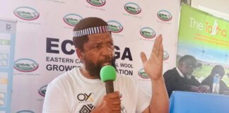 wool growers rally ngcobo ahead flock showdown