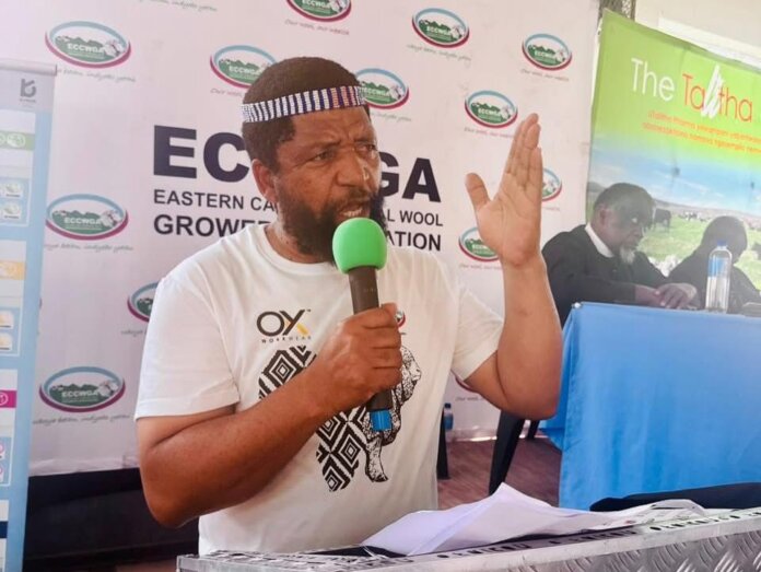 wool growers rally ngcobo ahead flock showdown