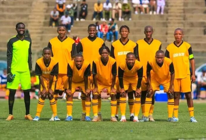 Bush Bucks Bush Bucks