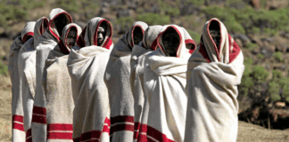 Center Of Human Rights