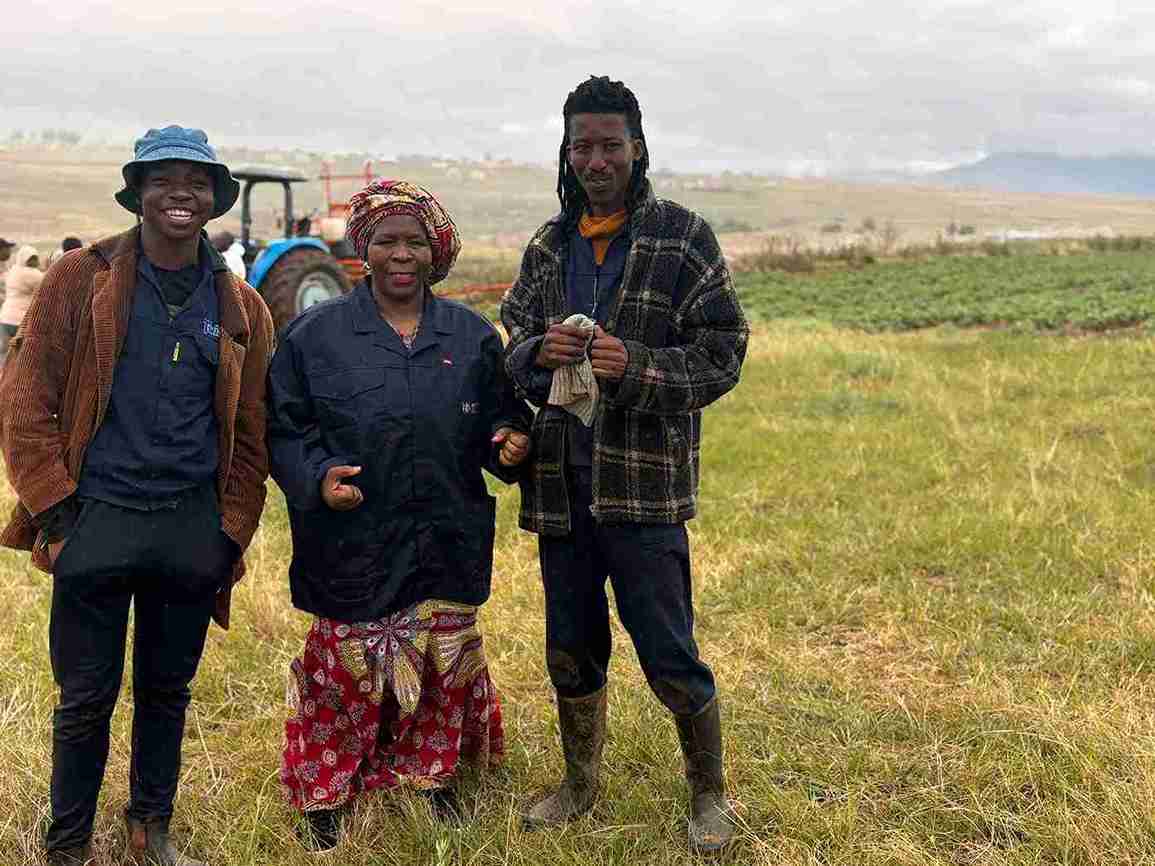 EC Agriculture aims to plant 23,000 ha in 2025 