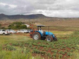 EC Agriculture aims to plant 23,000 ha in 2025 (2) 11zon