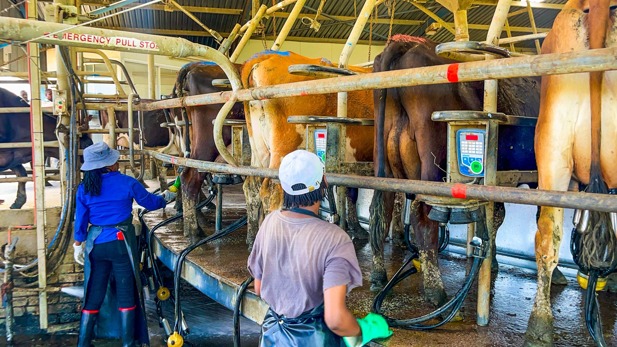 ECRDA Showcases Rural Projects To Investors In The Eastern Cape ECRDA Showcases Rural Projects to Investors in the Eastern Cape