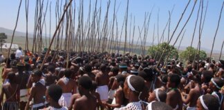 Eastern Cape Hosts Provincial Inkciyo Ceremony in Qumbu Eastern Cape Hosts Provincial Inkciyo Ceremony in Qumbu