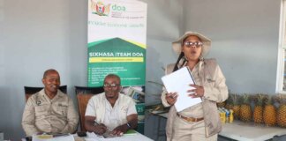 Farmers Empowered Through Pineapple Production Workshop Farmers Empowered Through Pineapple Production Workshop