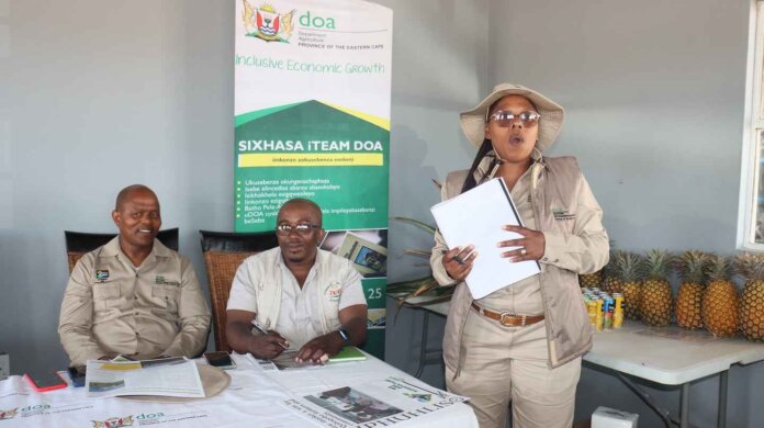 Farmers Empowered Through Pineapple Production Workshop Farmers Empowered Through Pineapple Production Workshop