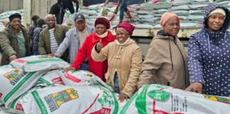 Nyandeni boosts farmers with 3,460 bags of fertilizer Farmers received 3 460 fertelizers in Libode and Ngqeleni