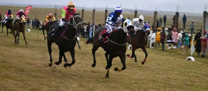 Horse Race At Dutywa Horse Race at Dutywa