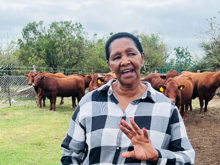 Makana Municipality Boosts Local Farmers with Livestock Support 1