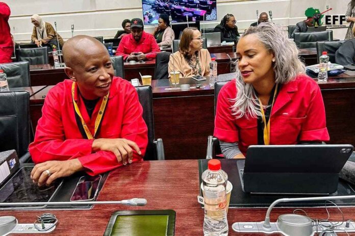 Malema, Mathys Put Masemola on the Spot in Parliament