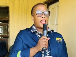 Ntabankulu Acts on Dikidikini Bridge Delays