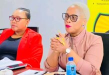 Ntabankulu Mayor Engages Ratepayers on Urban Development Ntabankulu Mayor Engages Ratepayers on Urban Development