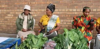 O.R. Tambo District Supports Farmers Through Eyoluntu Project O.R. Tambo District Supports Farmers Through Eyoluntu Project