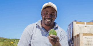 Sipho Nguse Grows His Future from the Soil Sipho Nguse From Harry Gwala Agri Learn