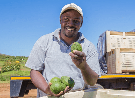 Sipho Nguse From Harry Gwala Agri Learn Sipho Nguse From Harry Gwala Agri Learn