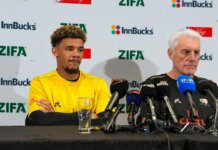 We will fight like lions – Bafana coach Broos