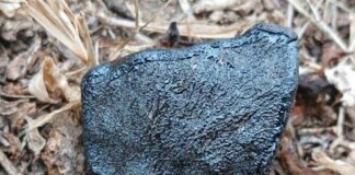 From Fire in the Sky to Science in Their Hands: The Nqweba Meteorite’s Journey from fire sky science their hands Nqweba Meteorites journey