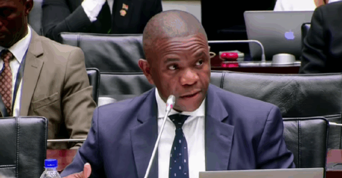 Nhlanhla Mkhwanazi appears before Parliament's ad hoc committee