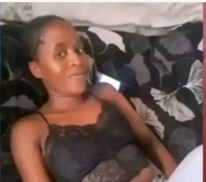 29 Year Old Woman Found Dead After Dog Attack In Flagstaff 29 Year Old Woman Found Dead After Dog Attack in Flagstaff