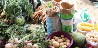 Amahlathi Showcases Women Farmers Driving Local Growth