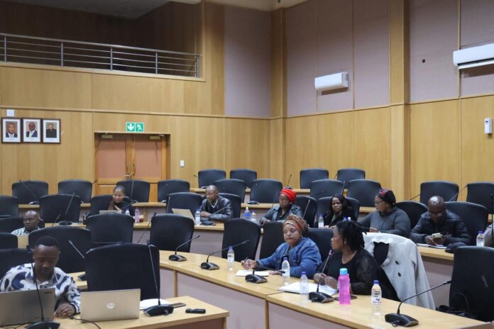 DEDEAT Drives Wild Coast Revival DEDEAT Drives Wild Coast Revival