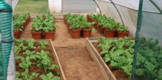 Deputy Minister Inspects Coastal KZN TVET Campus Deputy Minister Inspects Coastal KZN TVET Campus