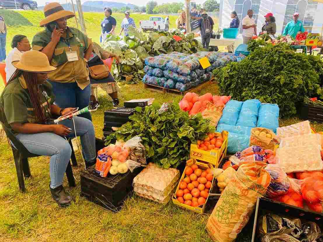 ECDC Sparks Growth for Local Entrepreneurs